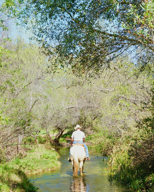 Cowboy