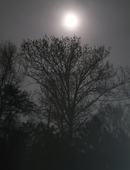 Moon